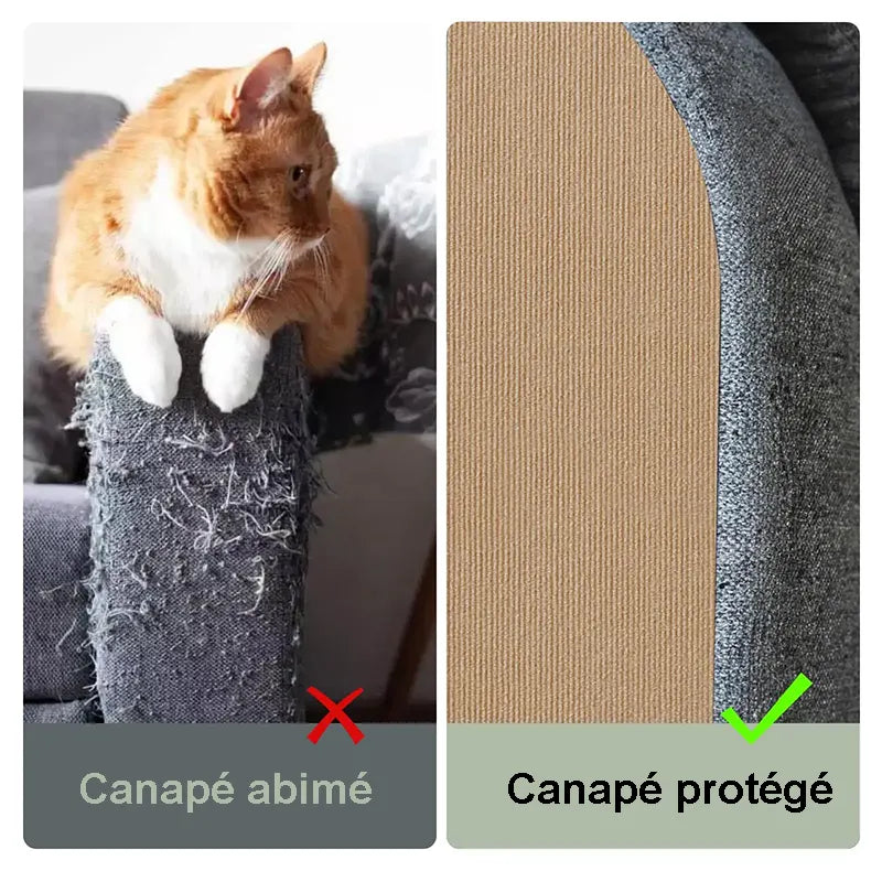 avant aprés protection anti griffes