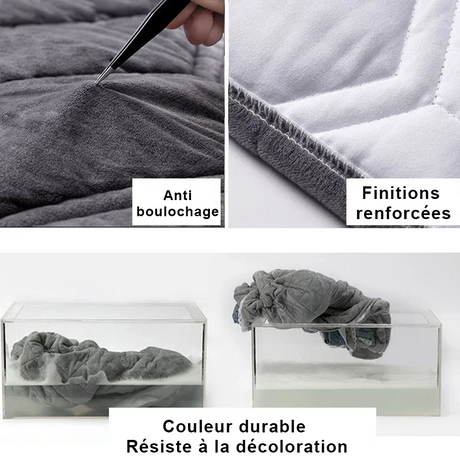 détails caractéristiques